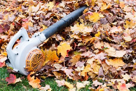 Leaf blowing. Things To Know About Leaf blowing. 